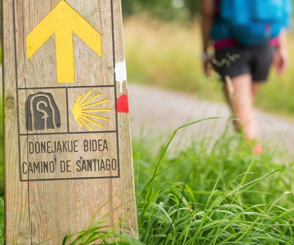 Transition Year trips abroad camino routes walk on the camino de santiago routes arrow marker camino del norte basque country JWT camino de santiago tours travel