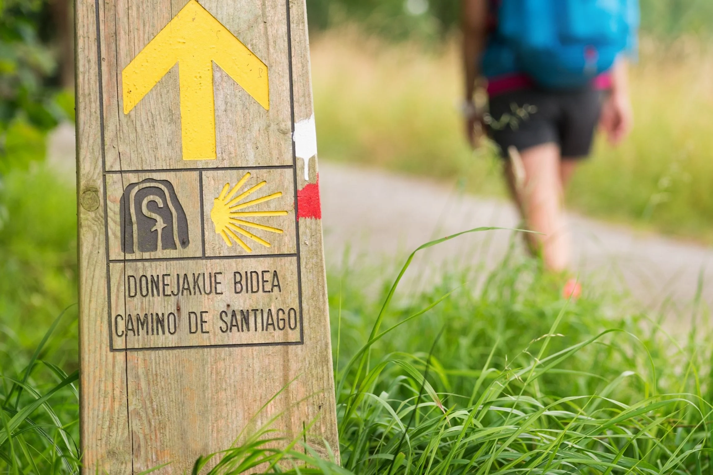 Transition Year trips abroad camino routes walk on the camino de santiago routes arrow marker camino del norte basque country JWT camino de santiago tours travel