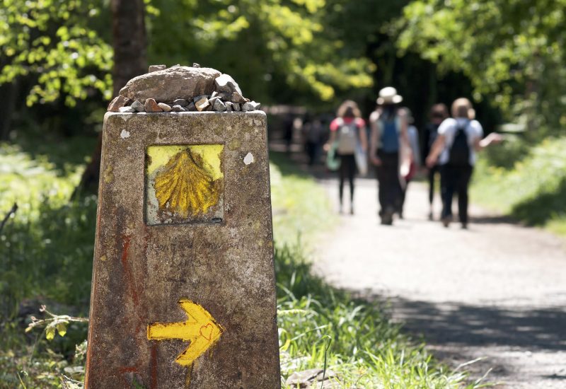 Camino de Santiago camino guided tours camino charity trek group of pilgrims walking the Camino de Santiago