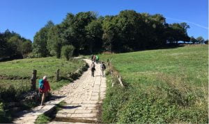 Transition Year trips abroad camino de santiago for schools pilgrims history of the Camino de Santiago trail Galicia JWT sports travel