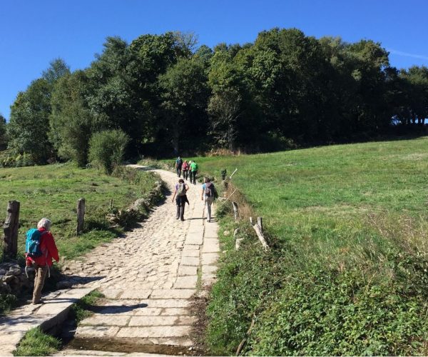 Transition Year trips abroad camino de santiago for schools pilgrims history of the Camino de Santiago trail Galicia JWT sports travel