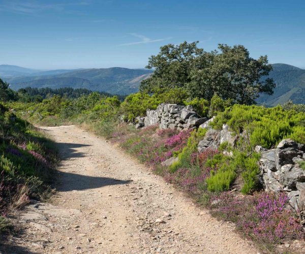 mountains-Camino-Primitivo-Camino-de-Santiago-tours-JWT