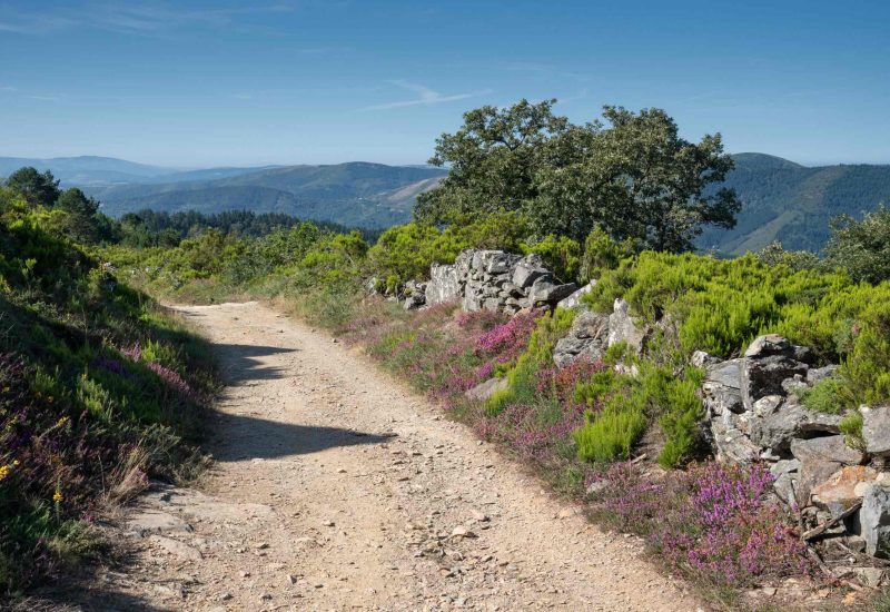 mountains-Camino-Primitivo-Camino-de-Santiago-tours-JWT