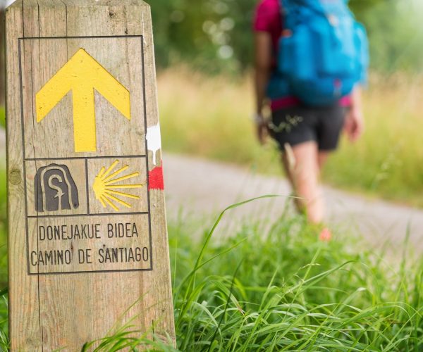 Camino de Santiago school trips lessons JWT