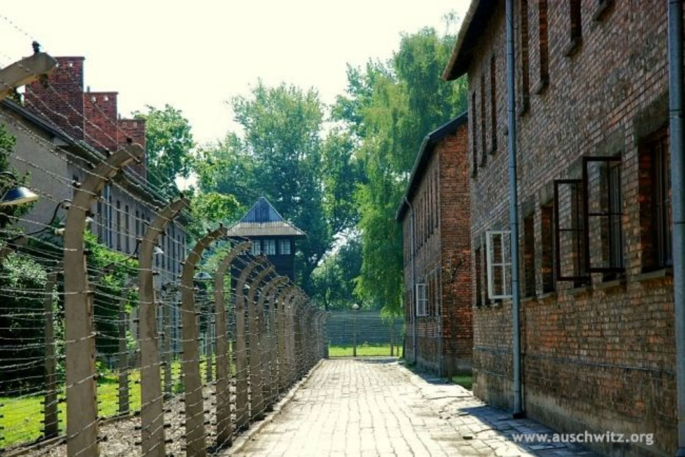 travel lessons Auschwitz Birkenau Memorial JWT Schools history school trip