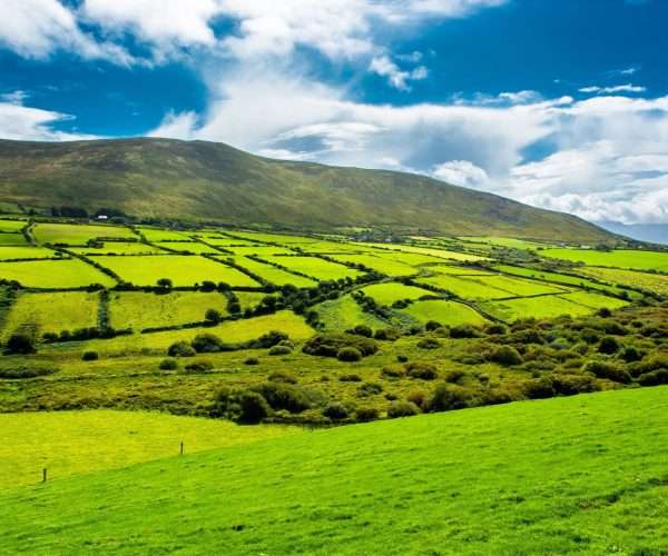 st.patricks-day-Irish phrases-JWT-Travel