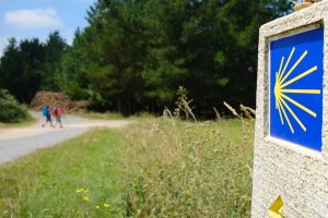 best-camino-tours-for-beginners-Camino-Frances-Easy-Walk-JWT-Travel-camino-guided-tours-2024