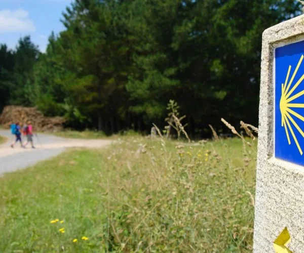 best-camino-tours-for-beginners-Camino-Frances-Easy-Walk-JWT-Travel-camino-guided-tours-2024