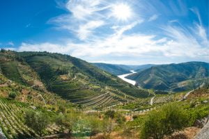 Vineyards Douro river valley cruise JWT Travel cruises