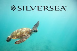 turtle swimming Barbados Caribbean cruise silversea cruises JWT Travel cruise holidays