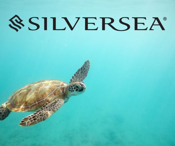 turtle swimming Barbados Caribbean cruise silversea cruises JWT Travel cruise holidays