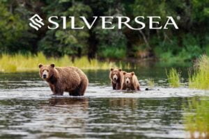 bears Silversea Alaska Cruise JWT Travel cruise holidays