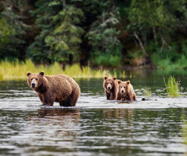 luxury Silversea Alaska Cruise JWT Cruises Travel