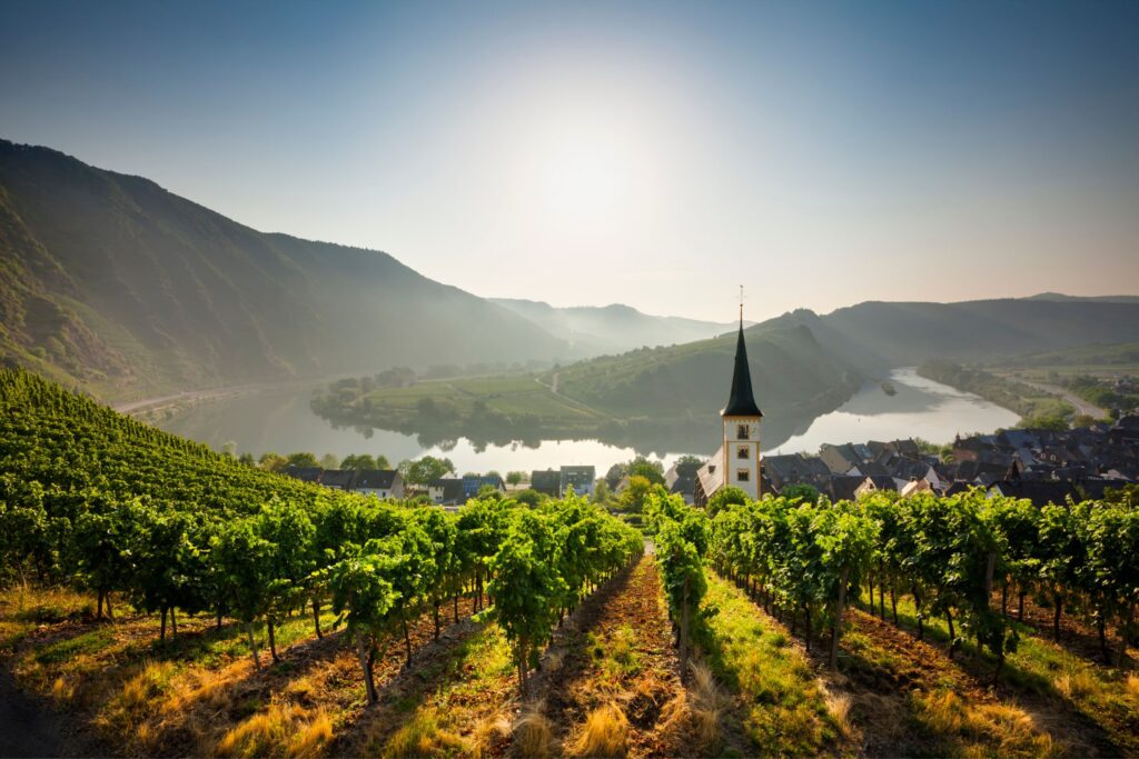 APT Highlights of the Rhine River Cruise without logo APT CRUISES IMAGE JWT Cruises