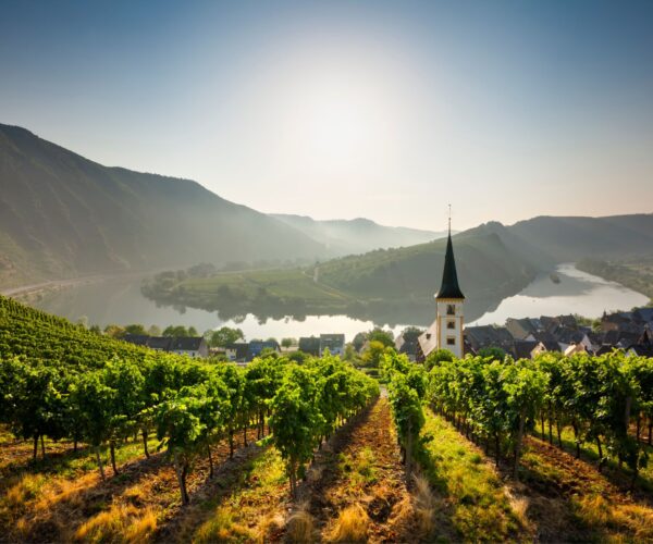 APT Highlights of the Rhine River Cruise without logo APT CRUISES IMAGE JWT Cruises