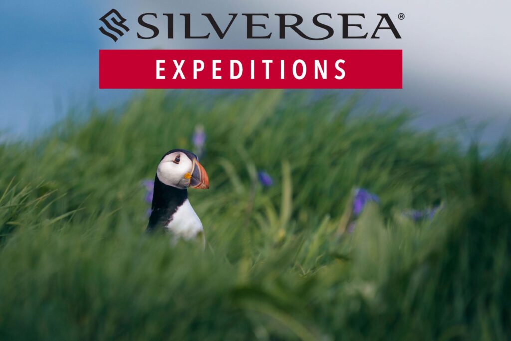 Puffin Silversea Expeditions Ireland Scotland and Iceland expedition cruise from Dublin JWT Travel cruise holidays