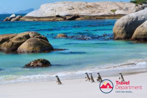 South Africa escorted tour and safari with Travel Department JWT Travel