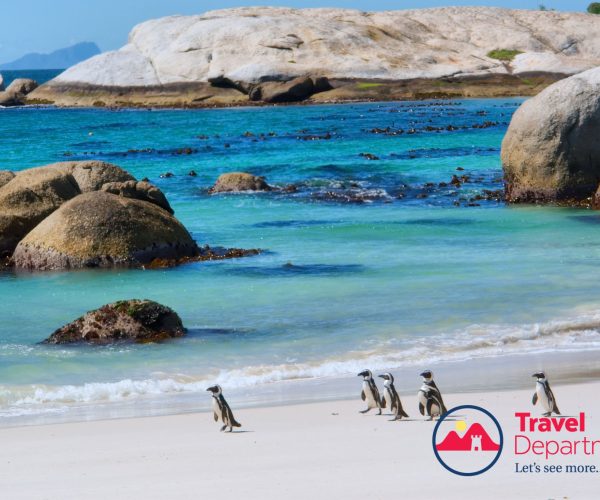 South Africa escorted tour and safari with Travel Department JWT Travel