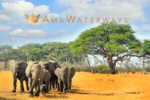 AmaWaterways - Botswana, South Africa and Zimbabwe River Cruise - JWT Cruises - River Cruises