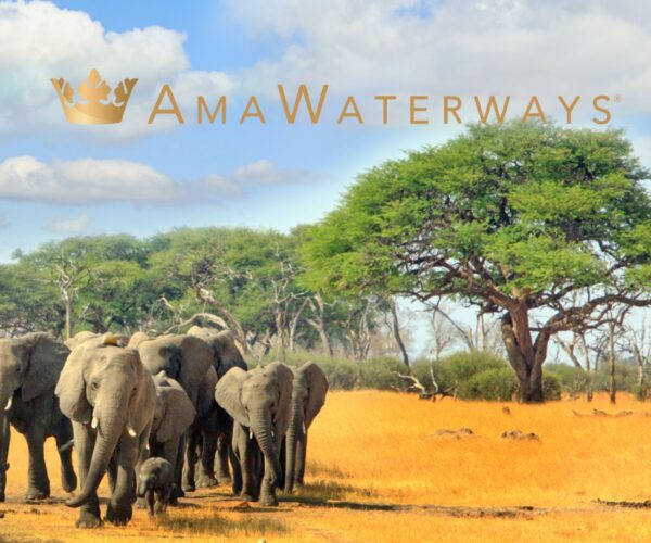 AmaWaterways - Botswana, South Africa and Zimbabwe River Cruise - JWT Cruises - River Cruises