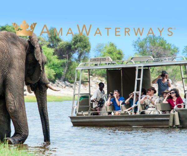 amawaterways africa safari and river cruise elephant jwt cruises