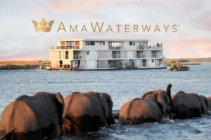 elephants and zambezi queen boat africa safari and river cruise jwt cruises