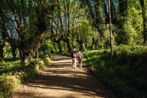 forest-pilgrims-walking-Camino-de-Santiago-trail-JWT-tours.jpg