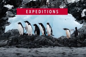Silversea Expeditions - Antarctica Expedition Cruise from King George Island - JWT CRUISES (1)