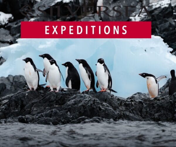 Silversea Expeditions - Antarctica Expedition Cruise from King George Island - JWT CRUISES (1)