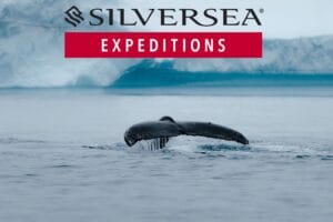 Silversea Expeditions - Antarctica Expedition Cruise from King George Island - JWT CRUISES (2)