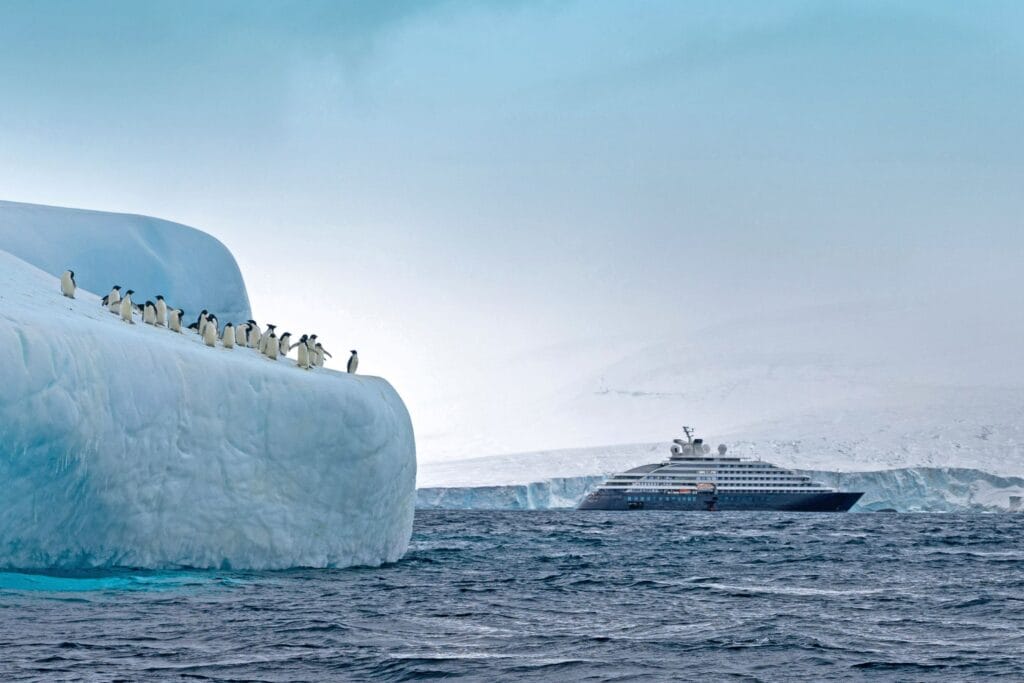 Top things to do and see on an Expedition Cruise to Antarctica - Expedition Cruises - Scenic - JWT Travel cruise holidays