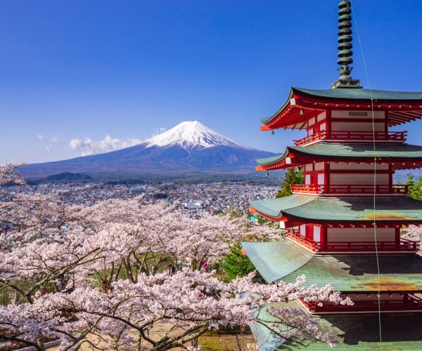 Highlights of Japan Escorted Tour