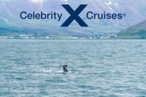 _Celebrity Cruises - Iceland Cruise From Reykjavik - JWT Cruises - JWT Travel