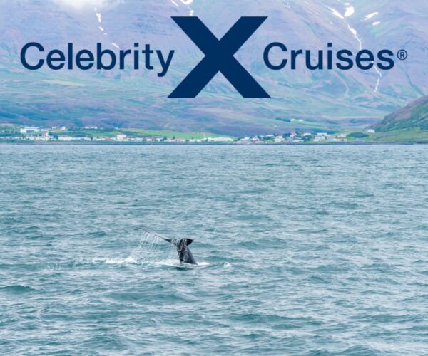_Celebrity Cruises - Iceland Cruise From Reykjavik - JWT Cruises - JWT Travel