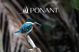 PONANT - Central America Expedition Cruise- JWT Cruises