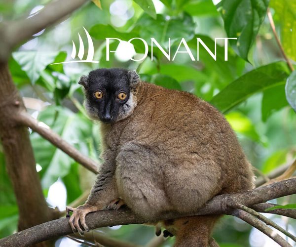 PONANT - Madagascar and South Africa Cruise from Durban