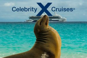 seal Quito and Galapagos islands cruise Inner Loop Cruise Celebrity cruises JWT Travel cruise holidays