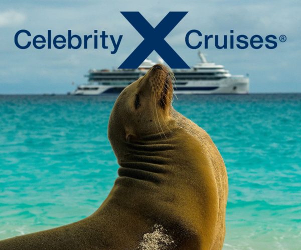 seal Quito and Galapagos islands cruise Inner Loop Cruise Celebrity cruises JWT Travel cruise holidays