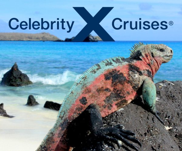 wildlife Quito and Galapagos islands cruise Inner Loop Celebrity cruises JWT Travel cruise holidays