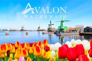 tulips and windmills Avalon Waterways Active & Discovery in Holland and Belgium Cruise JWT Travel cruise holidays