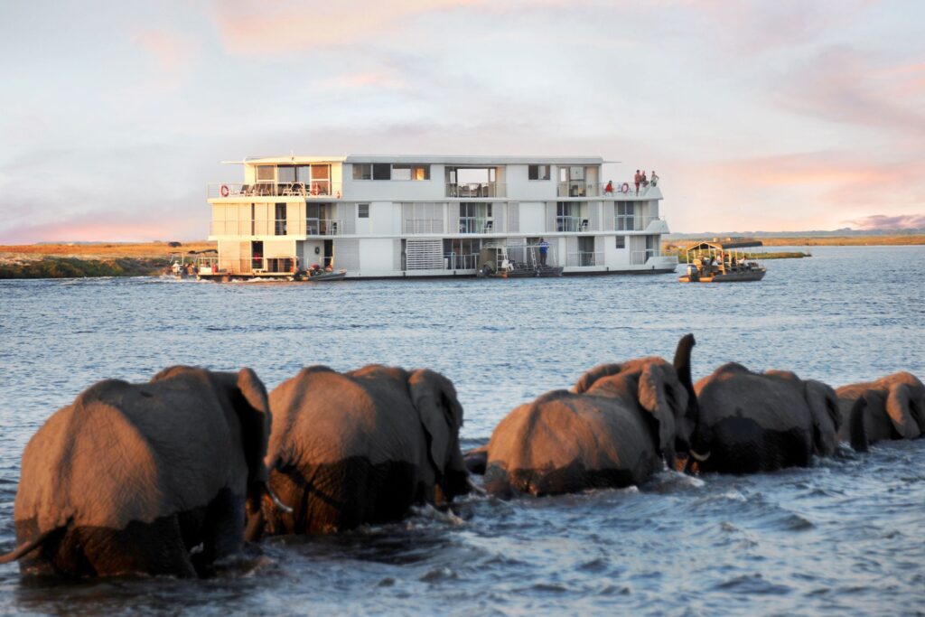 Zambezi Queen Africa river cruise Amawaterways luxury JWT Cruises