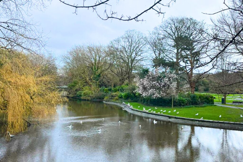Irish Culture and English Language Tour - Stephens Green - JWT IRELAND - JWT TRAVEL
