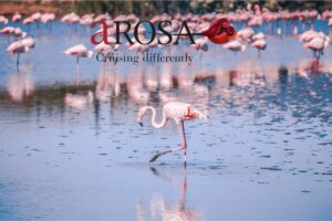 South of France Rhône River Cruise A-ROSA -Camargue nature - JWT Cruises