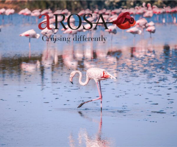 South of France Rhône River Cruise A-ROSA -Camargue nature - JWT Cruises