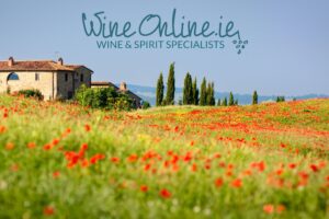 Tuscany Wine Tour - WineOnline.ie - JWT Travel
