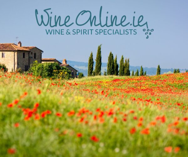 Tuscany Wine Tour - WineOnline.ie - JWT Travel