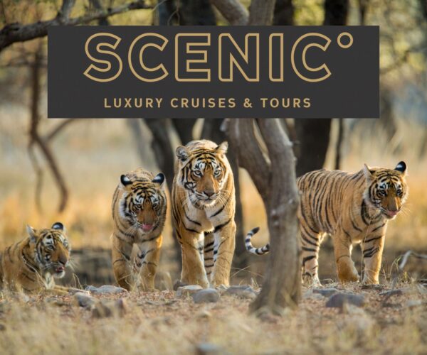 _Scenic - Royal Rajasthan & Luxury Lower Ganges River Cruise - JWT Cruises