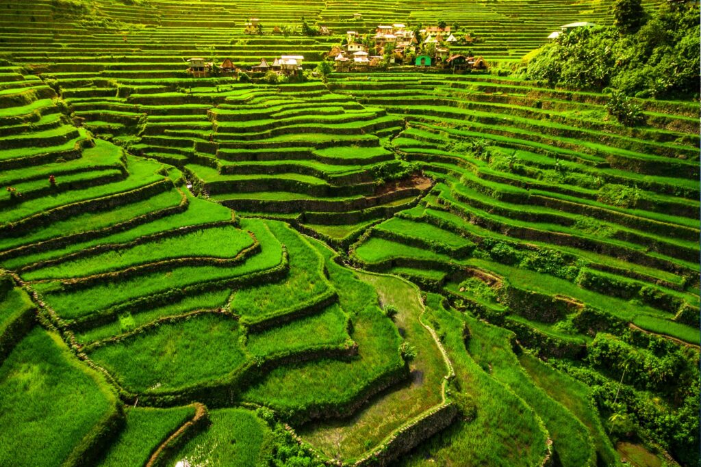 Banaue Rice Terraces - Pearls of the Philippines Escorted Tour - JWT TRAVEL