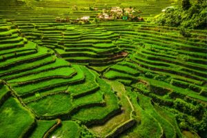 Banaue Rice Terraces - Pearls of the Philippines Escorted Tour - JWT TRAVEL