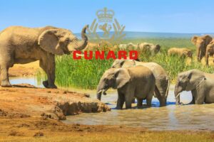 Southampton to Singapore Cruise- Cunard- JWT Cruises - JWT TRAVEL
